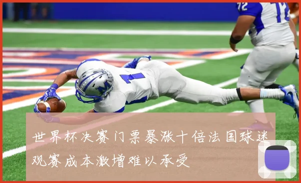 世界杯决赛门票暴涨十倍法国球迷观赛成本激增难以承受
