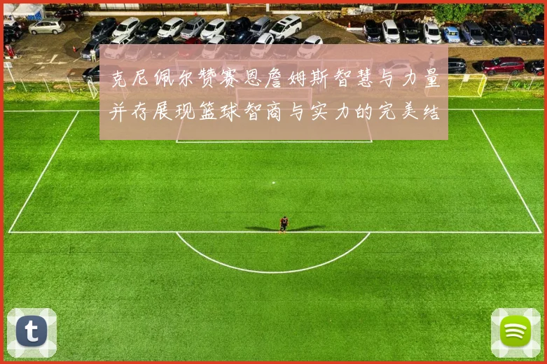 克尼佩尔赞赛恩詹姆斯智慧与力量并存展现篮球智商与实力的完美结合
